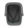 New Looxs Clipper Hondenfietsmand + Pet Package 28L – Antraciet