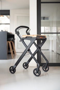 Rollator binnen RollBuddy Indoor black