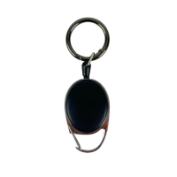 Schlüsselhalter für Magnet-Schlüssel Vivo