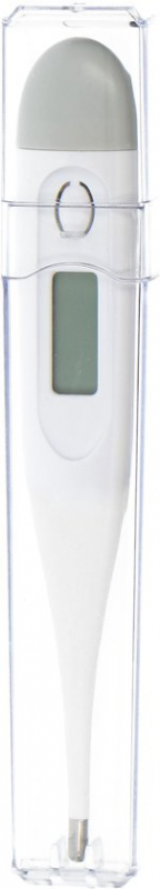 Thermometer Alecto digitaal eenvoudig 1 knop