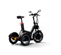 Joiny Elektrischer Dreirad-Scooter - Anthrazit